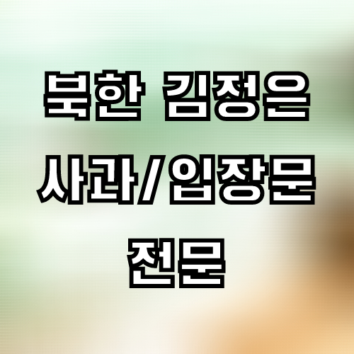 북한 김정은 사과 내용 및 입장문 전문