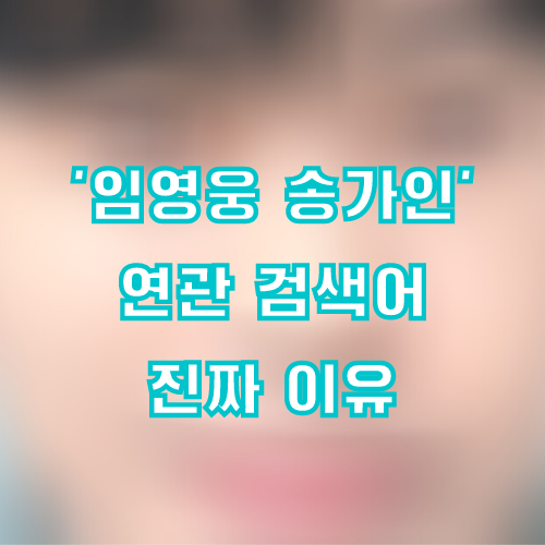 임영웅 송가인 결혼 기사가 나온 진짜 이유 (기가찬 검색어 원인)
