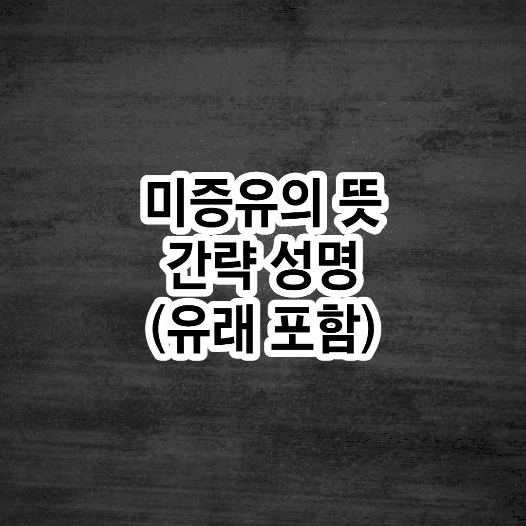 미증유의 사태 뜻 (유래 한자)