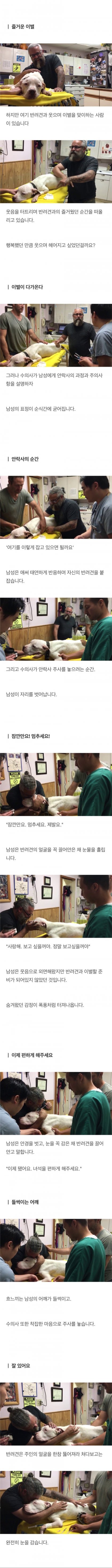 죽어가는 반려견 앞에서 웃는 주인 (영상)