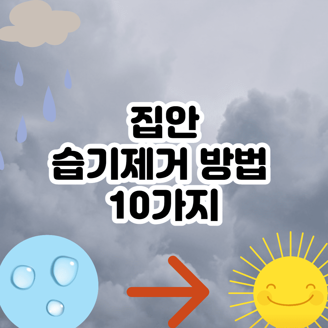 장마철 습기제거 방법 10가지 (꿀팁은 이것이다)