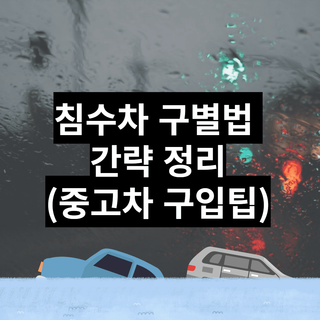 침수차 구별법 간략 정리(침수차 특징 6)