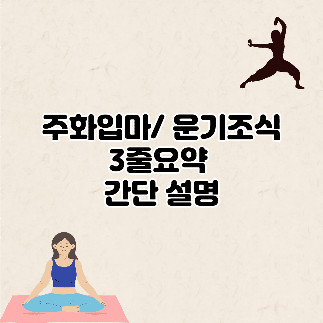 주화입마 뜻-3줄요약 (+운기조식 뜻)