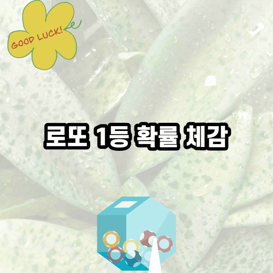 로또 1등 확률 체감 (+꽝! 당첨되지 않을 확률)