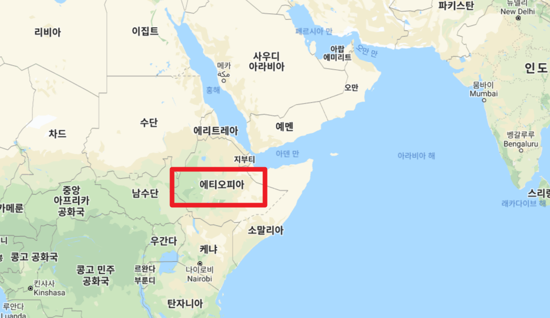 WHO 사무총장 테워드로스 누구? (국적,논란 이유)